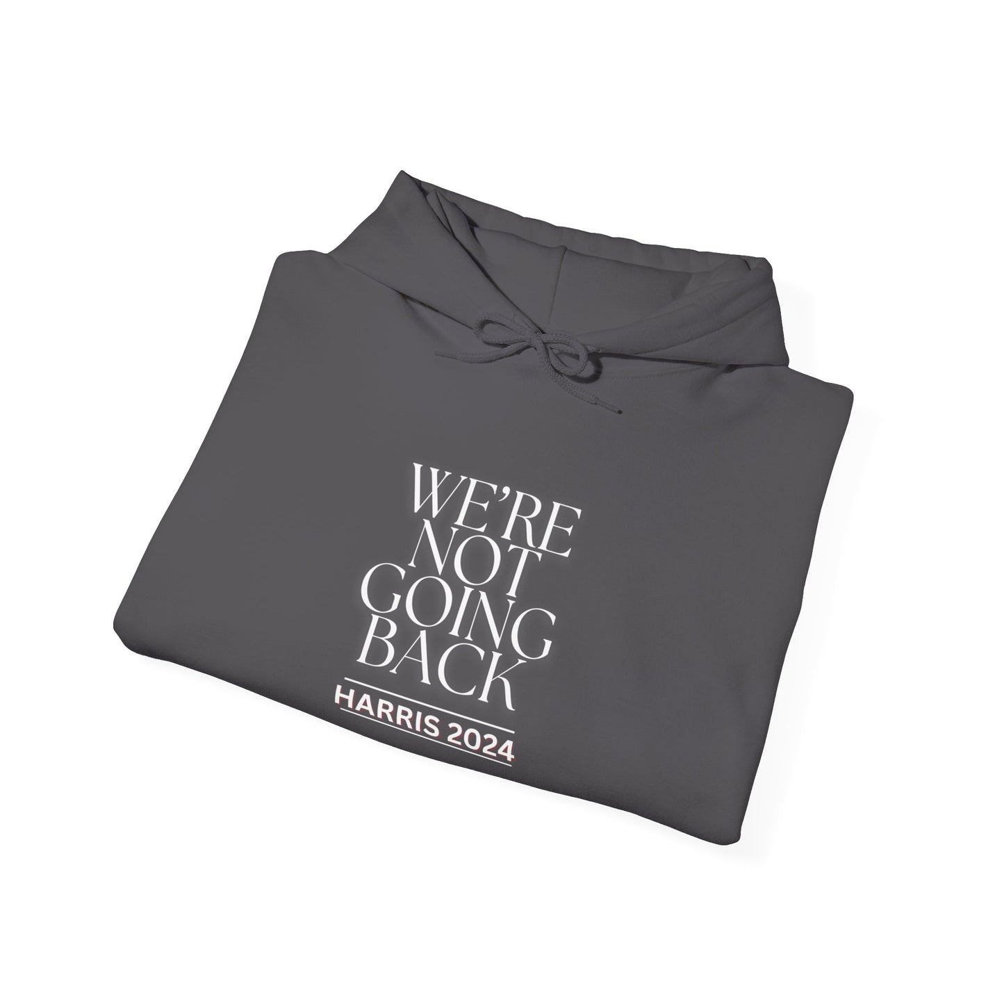 WE'RE NOT GOING BACK HOODIE Unisex Heavy Blend™ Hooded Sweatshirt